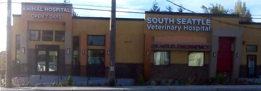South Seattle Veterinary Hospital and Animal Hospital building. Brown and yellow exterior, dark trim.