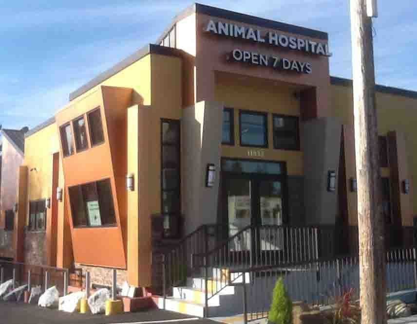 Animal Hospital building with orange and tan facade. 