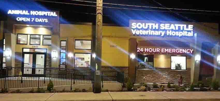 Exterior of two veterinary hospital buildings at night with lit signs.