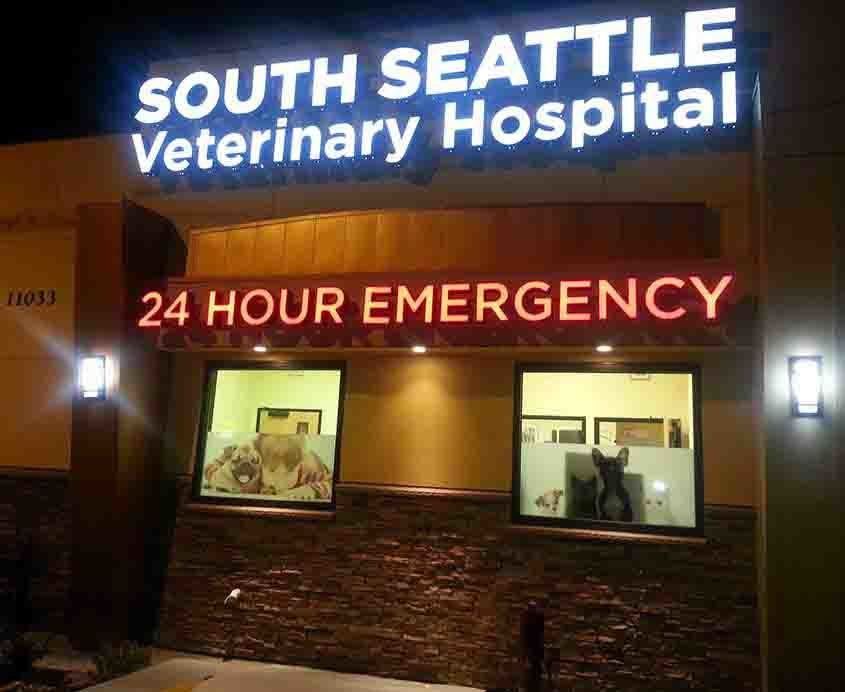 South Seattle Veterinary Hospital lit up at night, with 24-hour emergency sign above windows.