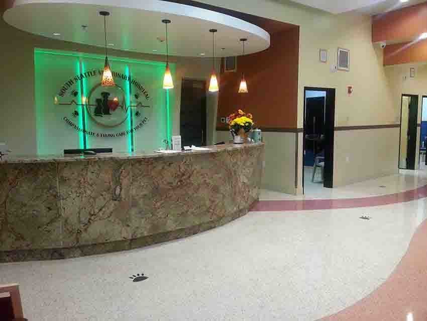 Reception area of Golden Eye Care clinic, with marble desk, flower arrangement, and overhead lighting.