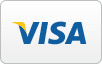 Visa logo, blue text with yellow accent, on white rectangle.