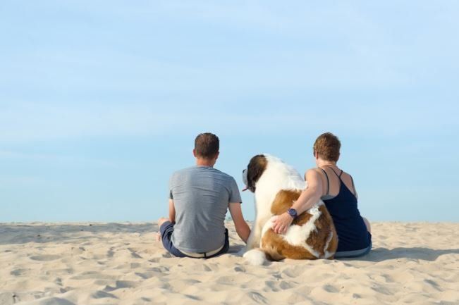 Couple and large dog sitting on sandy beach, looking out at the sky.