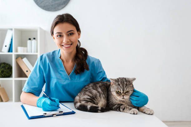 Veterinarian in blue scrubs with a cat, writing on a clipboard.