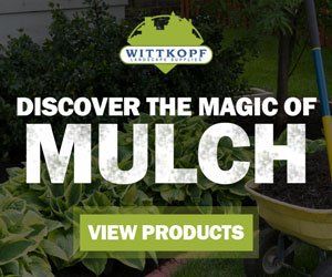 Discover the magic of mulch Instagram creative