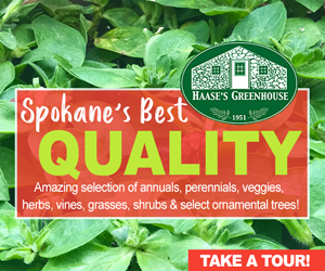 Spokane's Greenhouse display creative