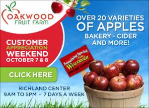 Oakwood Fruit Farm display ad creative audience extension