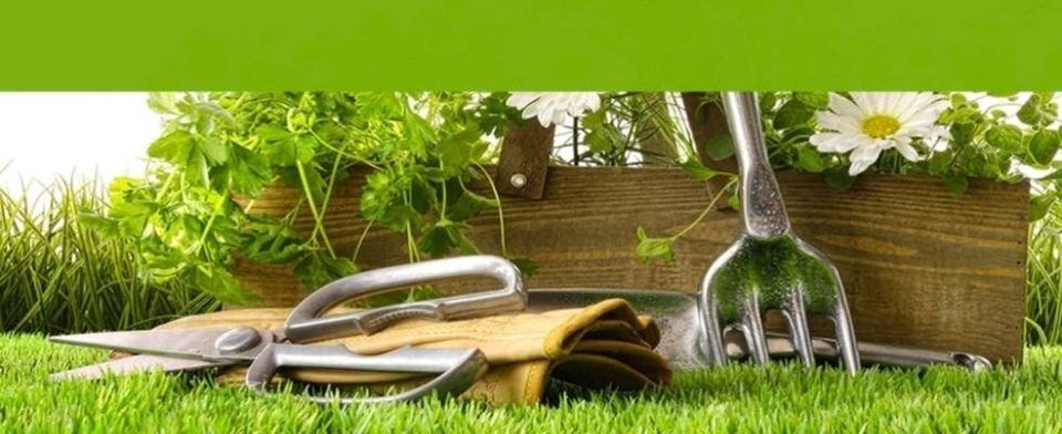 Azienda Agricola Vivaistica Bicelli Azienda Agricola Vivaistica Bicelli