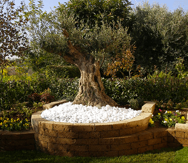 giardinaggio giardinaggio