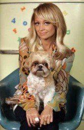 Nicole Richie and Shih Tzu Honeychild
