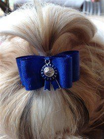 Shih Tzu bow company - hand made