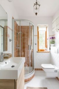 sensor toilets