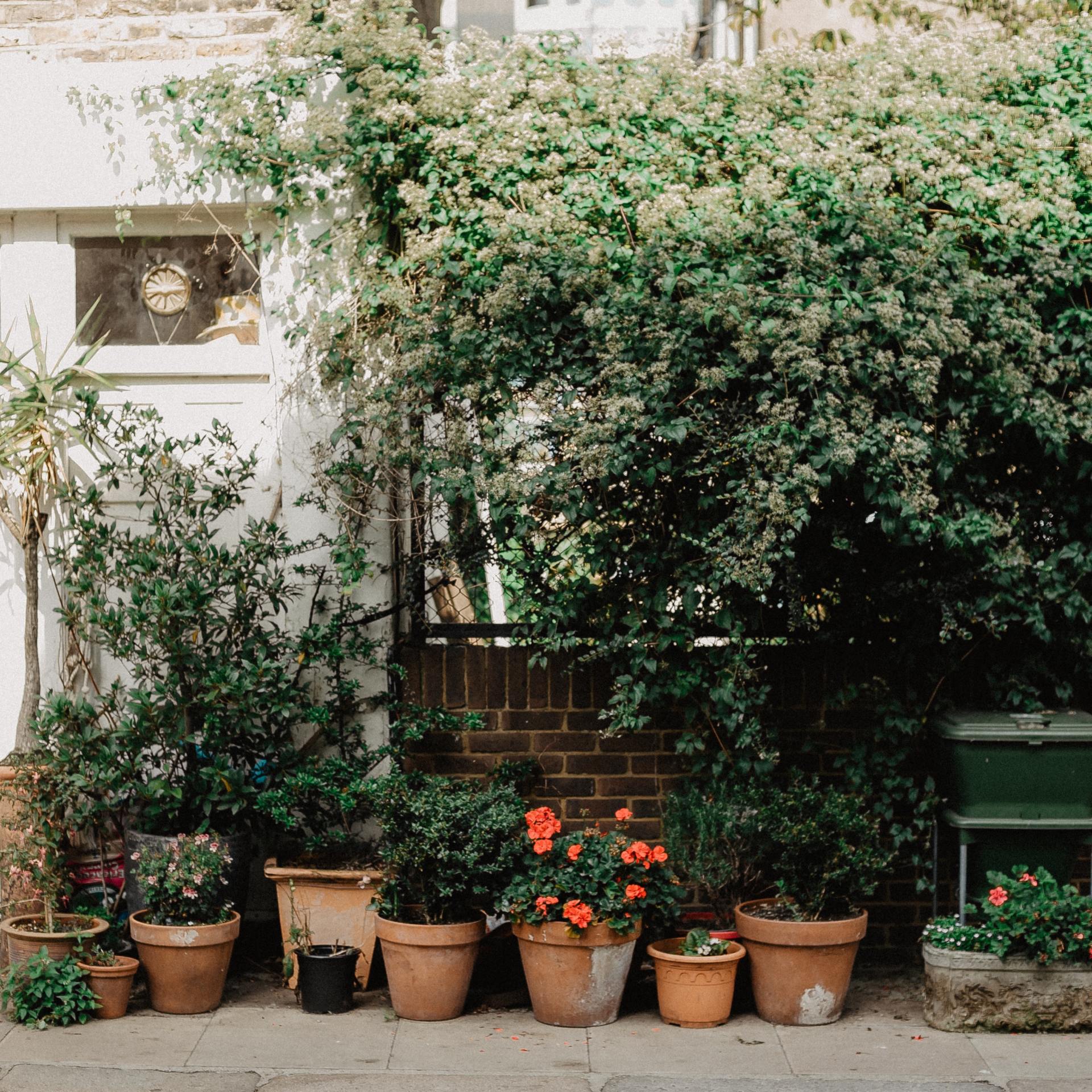 Beware of Pipes with Spring Planting