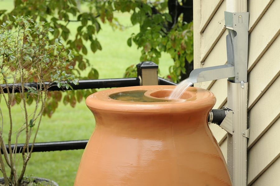 water conservation tips