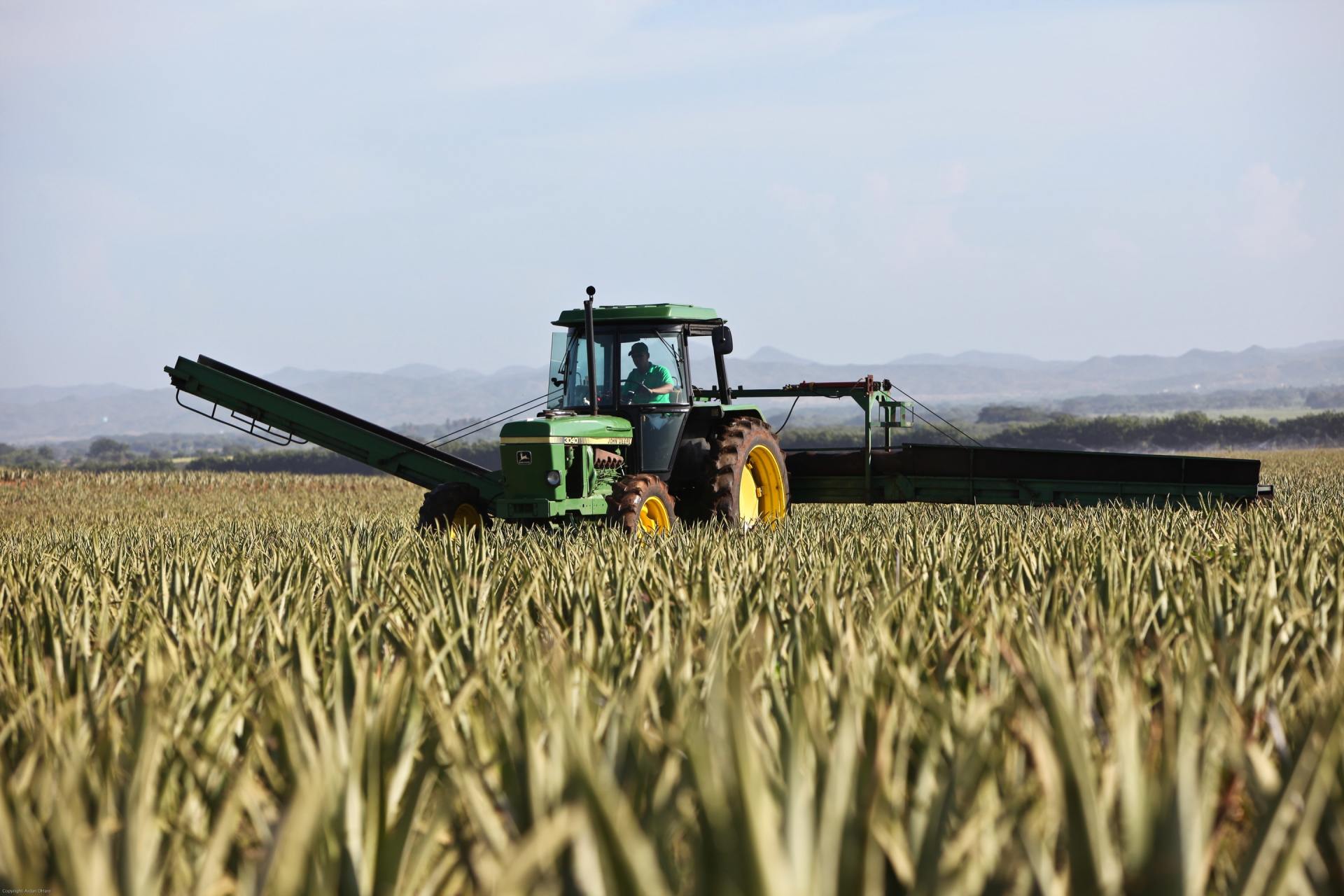 A green tractor is driving through a field of tall grass