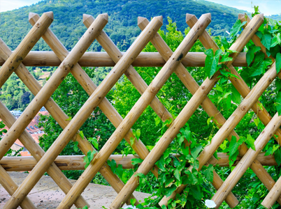 Domestic fencing