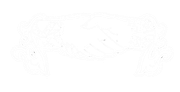 Mostly white image with faint scattered gray specks and a black strip along the bottom.