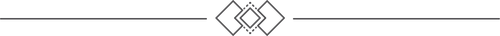 Decorative geometric divider graphic used on the Party Divas About Us page