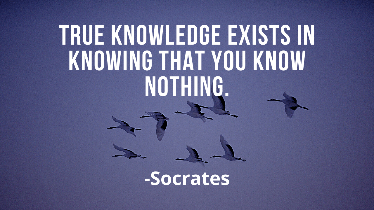 True knowledge exists in knowing that you know nothing. -Socrates