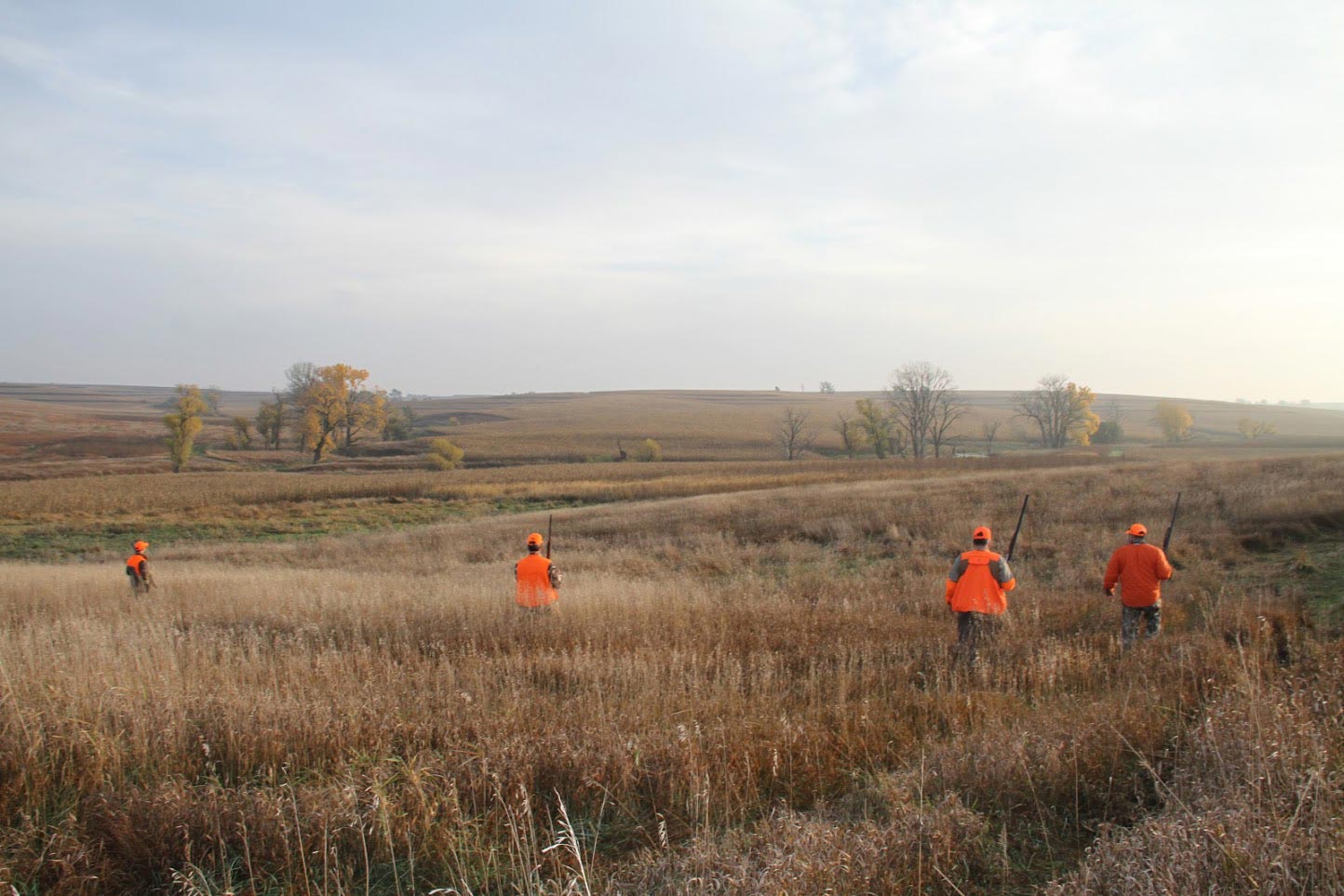 Pheasant Hunting at Hole N' The Wall Lodge