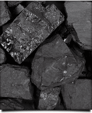 fuel-wood stove