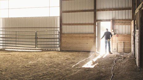 Stable