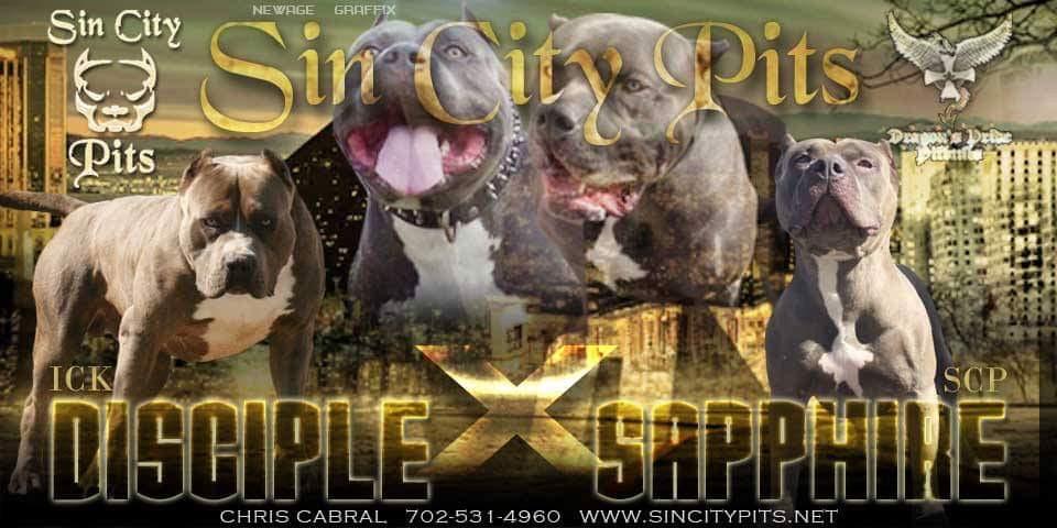 Colossus X Babz Breeding