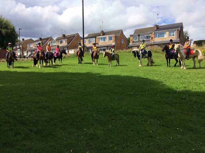 horses standing on horse polo ground