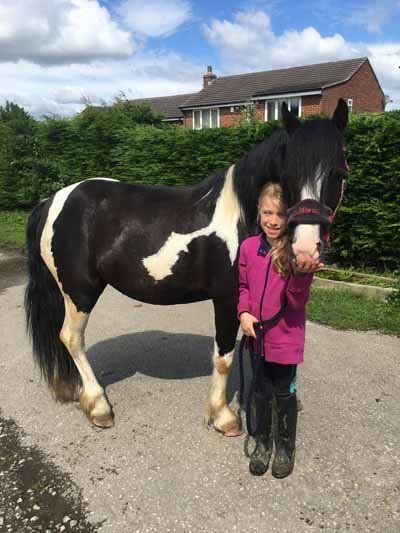 a child stand with white horse