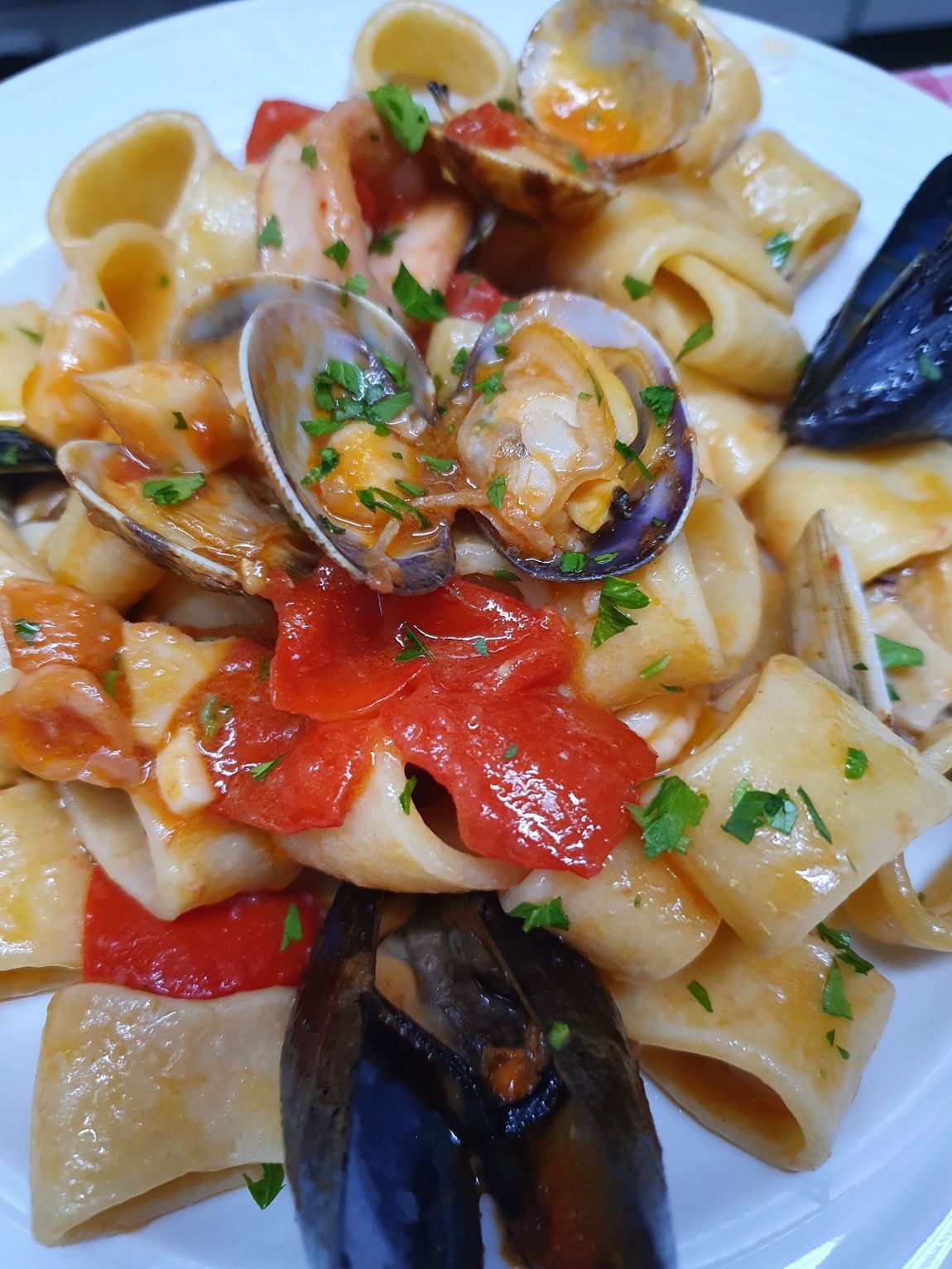 pesce fresco e scampi