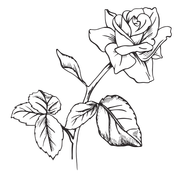 Rosa stilizzata
