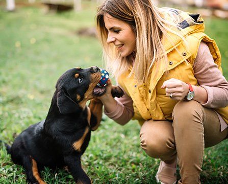 Woman Playing with Dog — Mountville, PA — Renee’s Pet Grooming