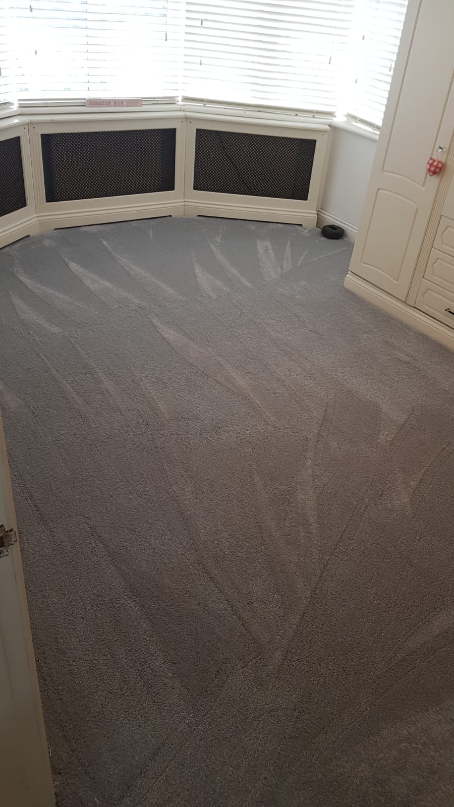 Luxury soft saxony carpet silver grey looks expensive