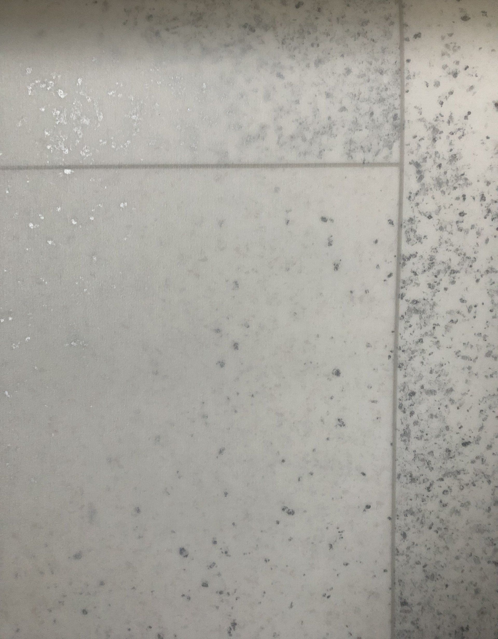 RhinoFloor vinyl flooring