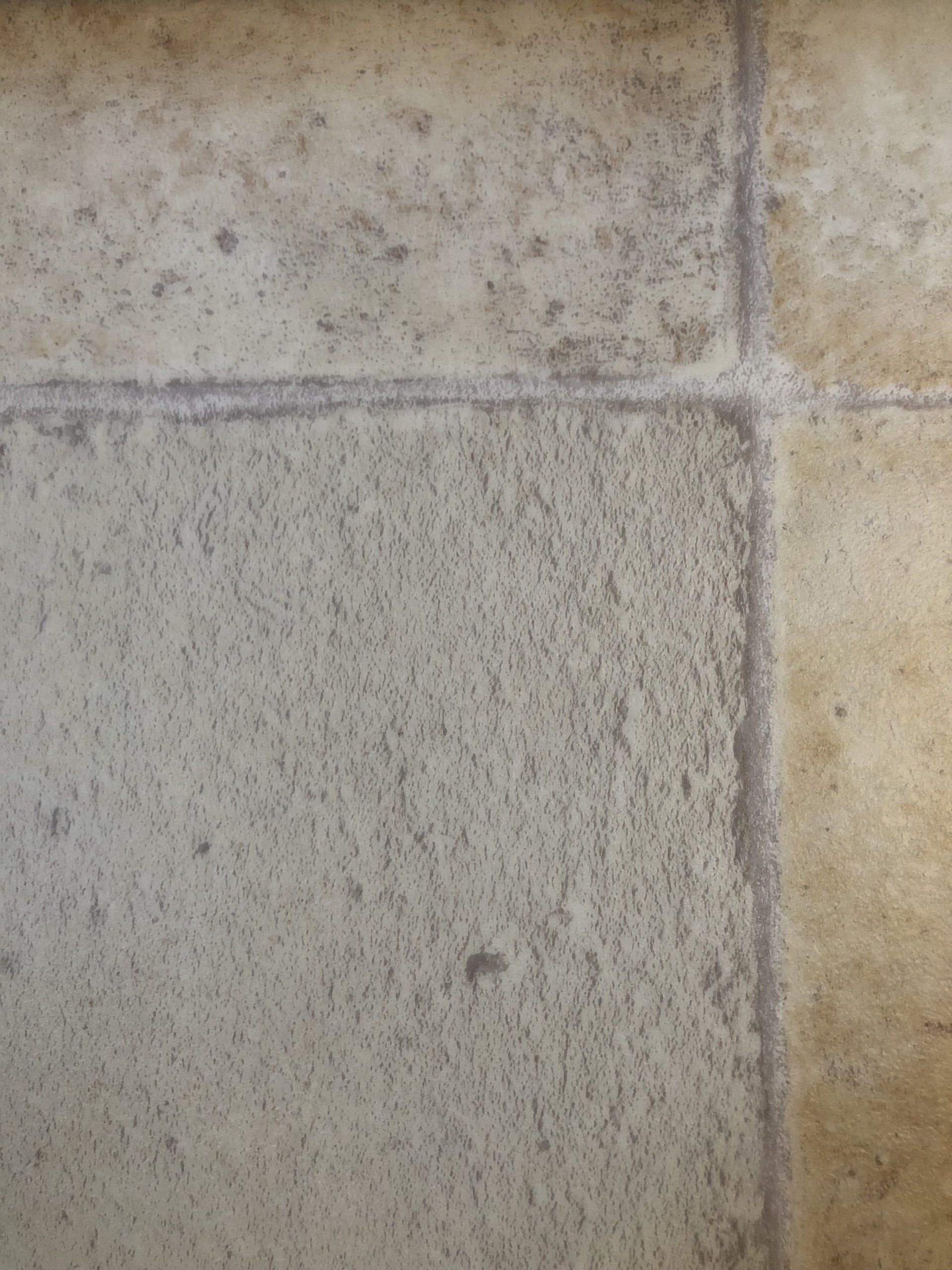 RhinoFloor vinyl flooring