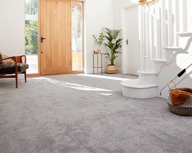 abingdon flooring and carpet range stainfree tweed