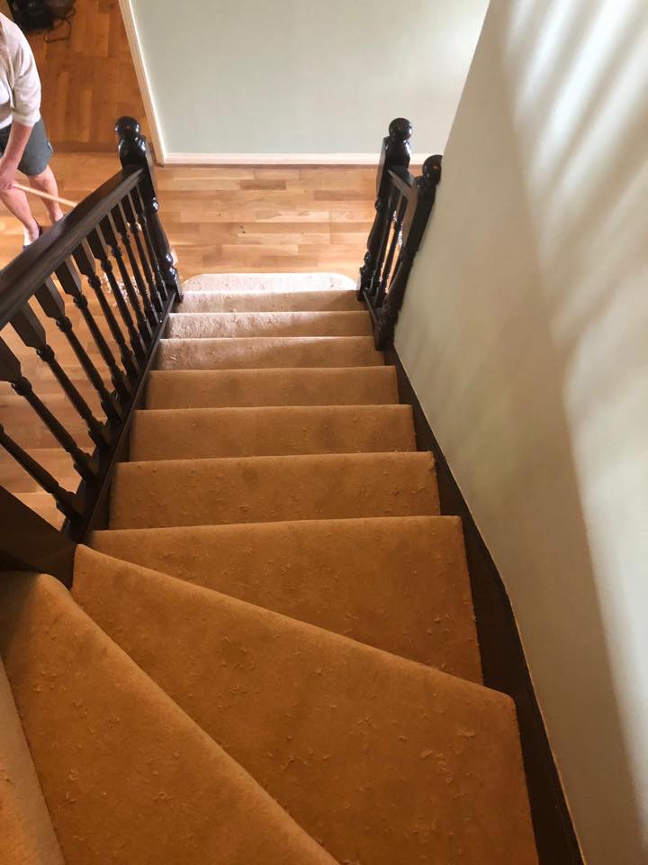 hall, stairs, landing, carpet, flooring