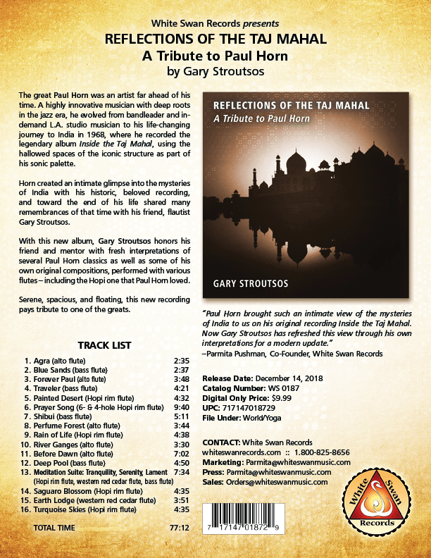 Reflections of the Taj Mahal Flyer