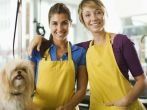two women grooming a dog