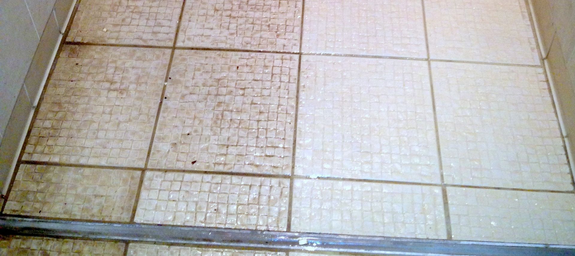 MOSAIC TILE CLEANING