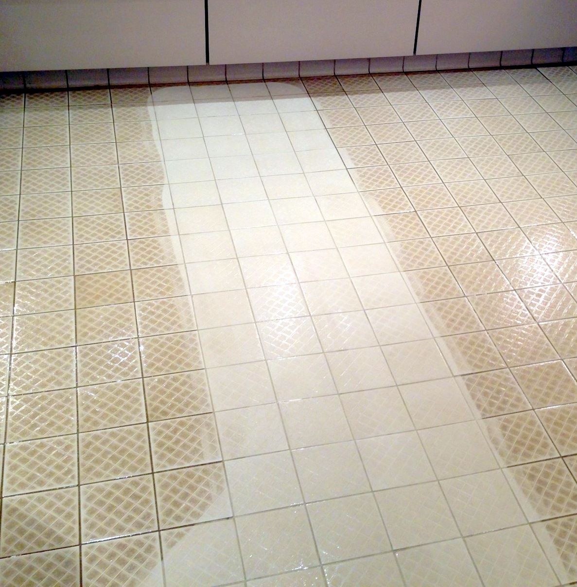 ANTI SLIP FLOOR TILE CLEANING
