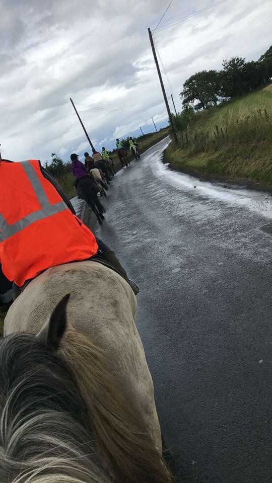 Horse care and management lessons