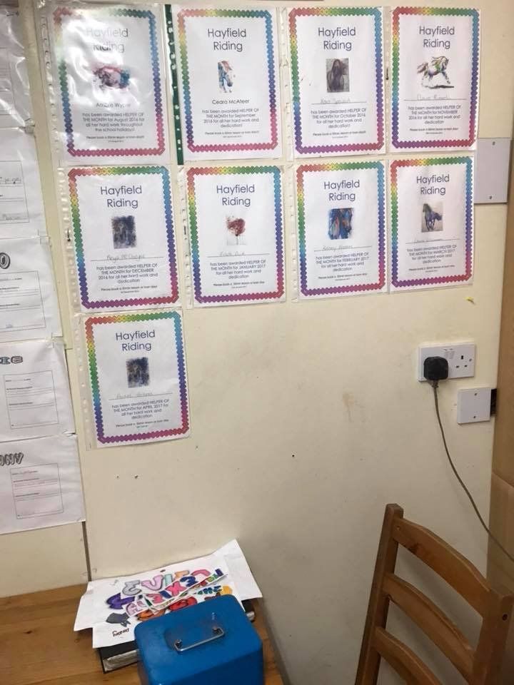 boards with horse riding details