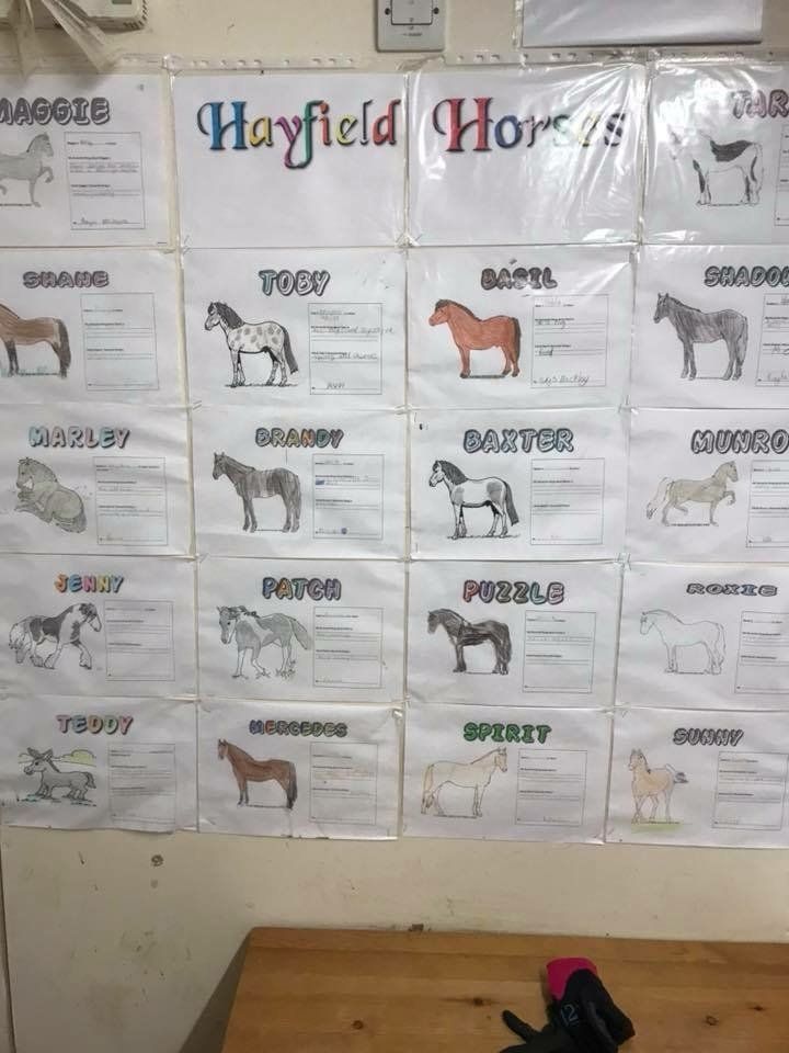 a chart