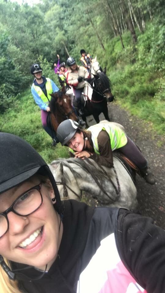 Horse riding lessons