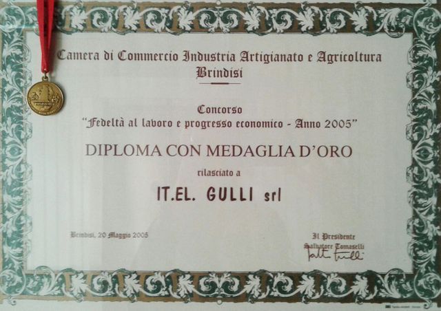 Diploma con medaglia d'oro 2005
