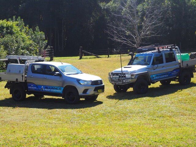 Two Utes Two Utes
