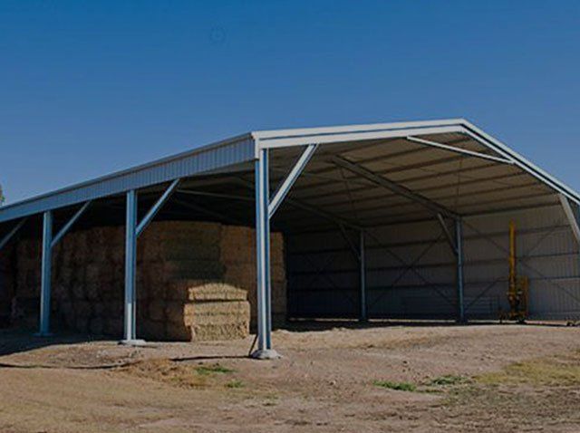 Wide Open Shed