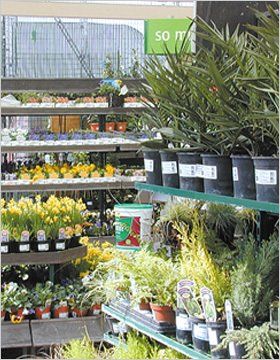 garden centre
