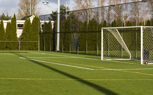 lawn turf
